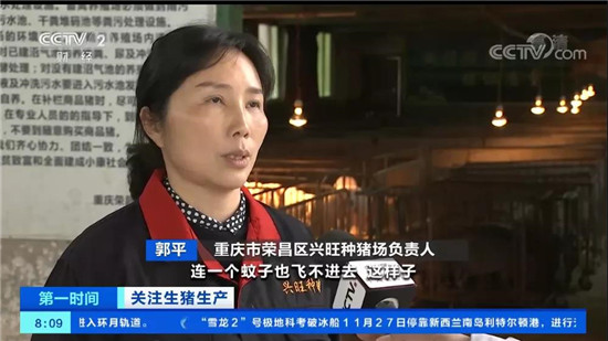 产销两旺，仔猪价格回落，多地价格降至1000元以下