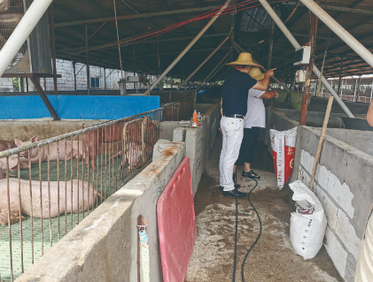 惠州：全市首笔生猪活体抵押贷款发放