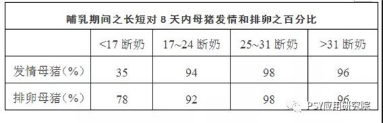 断奶母猪不发情的原因分析