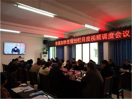 兴文县贯彻落实全省加快生猪出栏月度视频调度会议精神