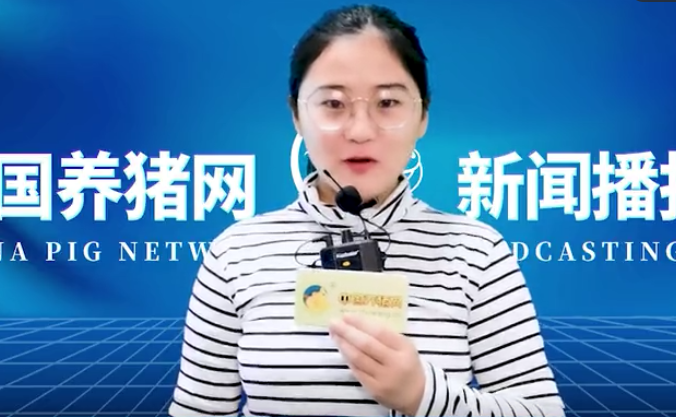  猪价应声而涨！全国猪价普涨！最高区已涨至17.50元每斤！
