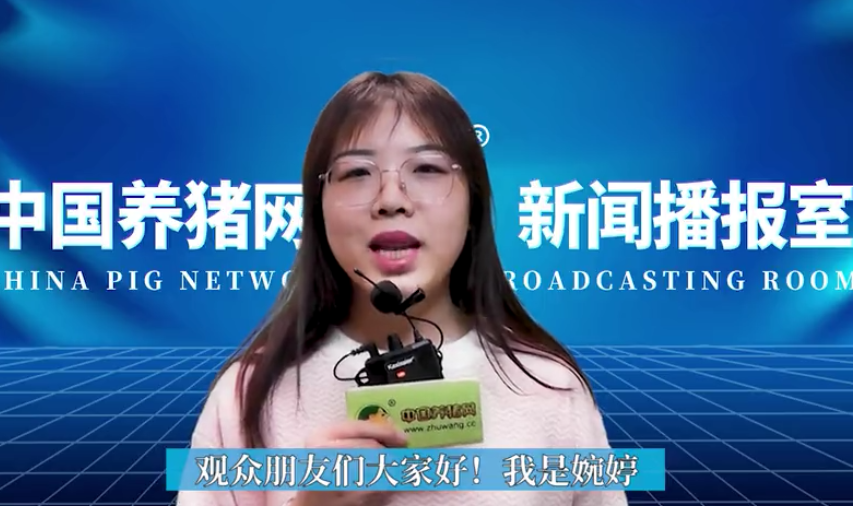  玉米上涨走势明显强劲！新一波调整要来了吗？