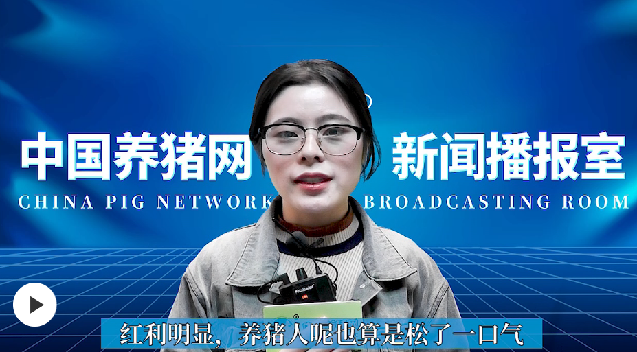  猪价明显上涨！但养猪人还是要合理安排生猪出栏节奏！