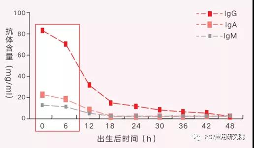 奶水好仔猪才能长得快！6大小技巧做好母猪初乳管理