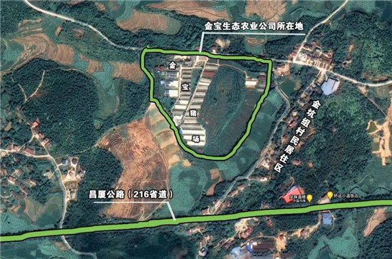 新闻调查 || 是谁，压倒了万头规模示范猪场？