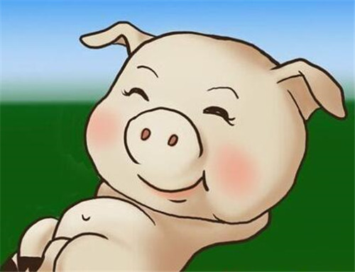 罗牛山：2020年11月销售生猪1.21万头 同比增加28.59%