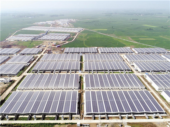 4000万头生猪为何托不起产业链 直面湖北生猪产业短板弱项