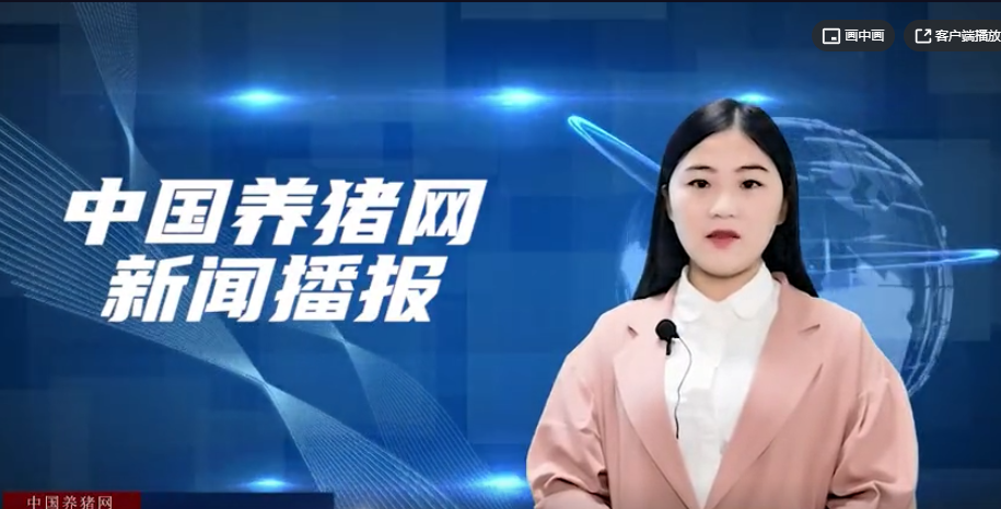  风向又变了！生猪价格会继续暴涨吗？
