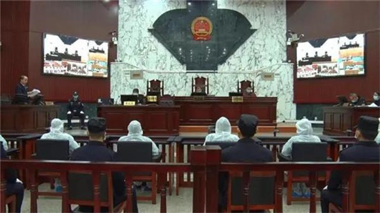 广西一养猪场老板自己养猪全部病死，竟组团偷猪100多头！