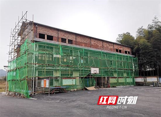 桃江县大华村：从养猪户到人气主播的华丽转身