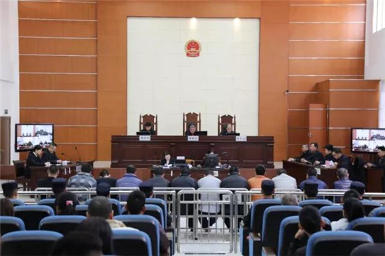 垄断电白生猪市场，侵吞2559万，“肉霸”兄弟被判刑