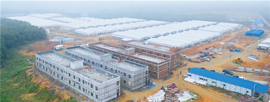 生态养猪育出“肥美”产业 