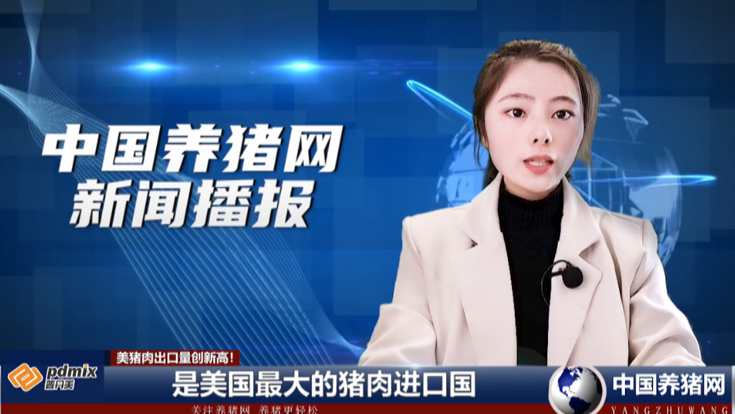 我国一口气买下37700吨猪肉，美猪肉出口量创新高！