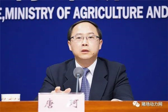 农业农村部：玉米价格上涨将受限，但大豆仍将高位运行