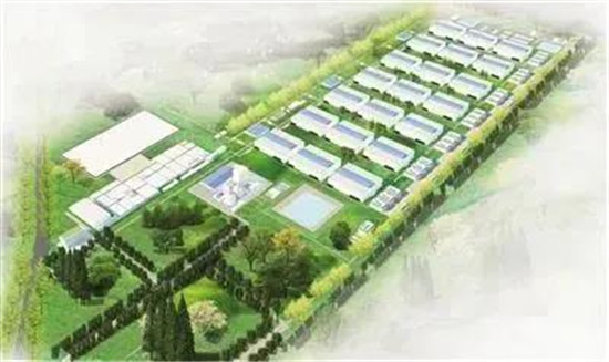 大手笔！耗资50亿！年出栏210万头，牧原建全球单体养殖规模最大猪场