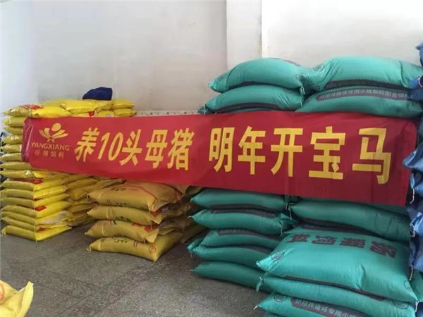 “母猪换宝马”：2020为了翻身拼尽全力