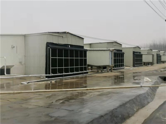 牧原固始：赋能生猪产业 助力乡村振兴