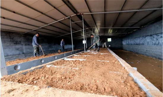 贵州天柱：“猪”拱财门幸福长，美好日子步步高