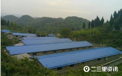 宝鸡一村民养猪是否算占用耕地？主管部门调查回应