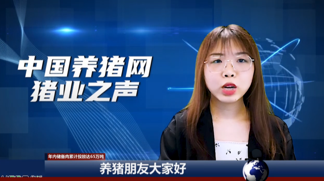  再来3万吨！2020年第37次！年内储备肉累计投放达65万吨