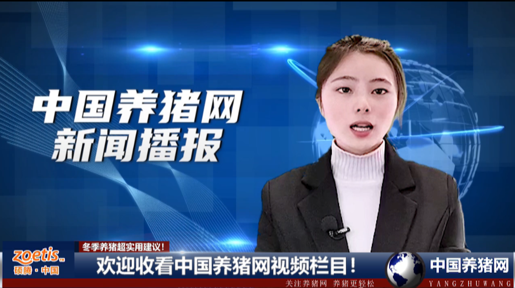 又双叒叕降温了！冬季养猪超实用建议！