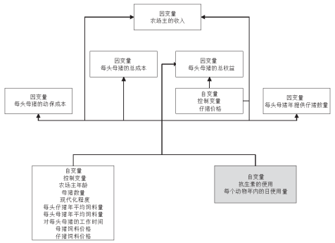 荷兰养猪场抗生素使用与盈利情况对比（上）