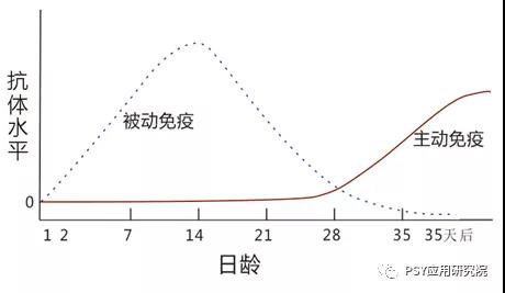 产房仔猪不好养？这个细节点确定你注意了吗？