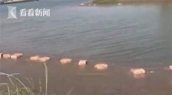 几百箱冻品猪内脏鸡翅漂浮江面，怎么回事？