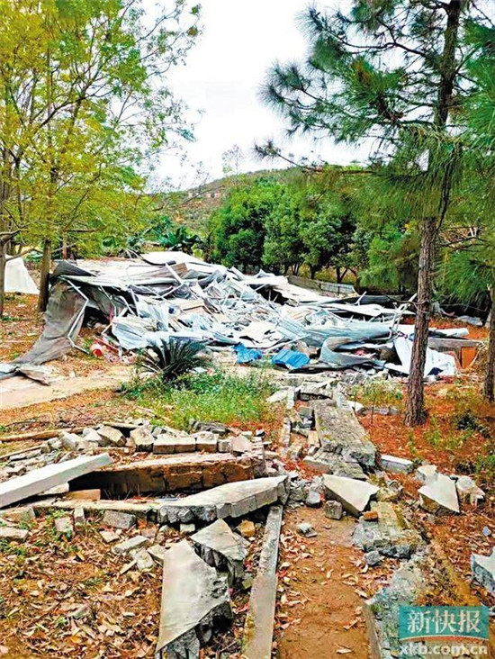 哪个单位违法拆除养猪场，哪个单位负行政赔偿责任？