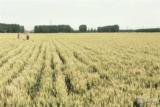 惠农政策“大礼包”连连送出 农业增效农民增收步步提升