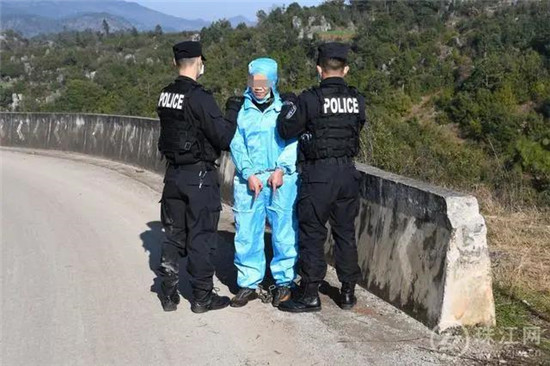 又来偷猪贼！两男子盗窃13头生猪被刑拘！