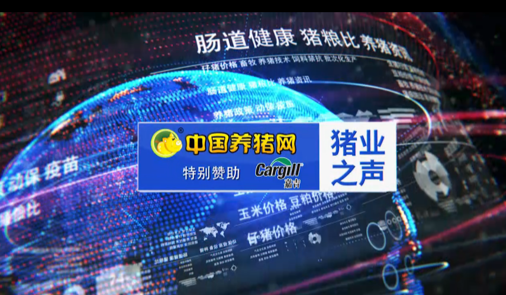 【猪业之声】2021年饲料首次涨价！玉米价格仍在上涨，会有突破吗？