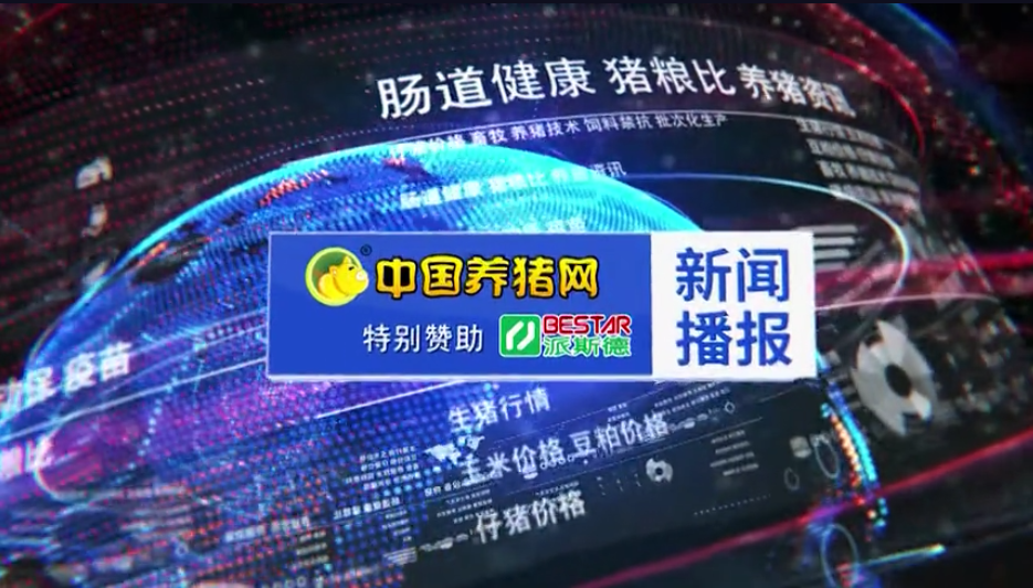  新希望养猪业务发展迅速！生猪出栏800万头，提前完成年初目标！