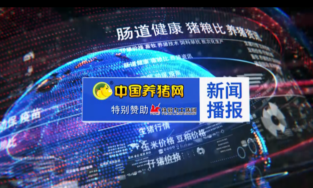  生猪期货上市，新希望六和入选大商所首批集团交割库