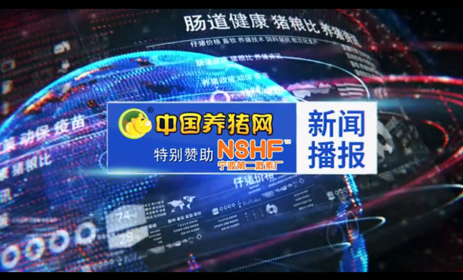 生猪生产基本恢复，非瘟形势总体平稳，你们怎么看？