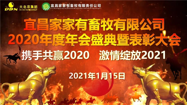 宜昌家家有畜牧2020年度年会盛典暨表彰大会
