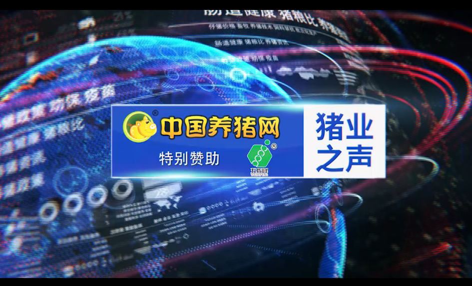 【猪业之声】玉米为何能够大涨？农民如何卖粮才好！ 