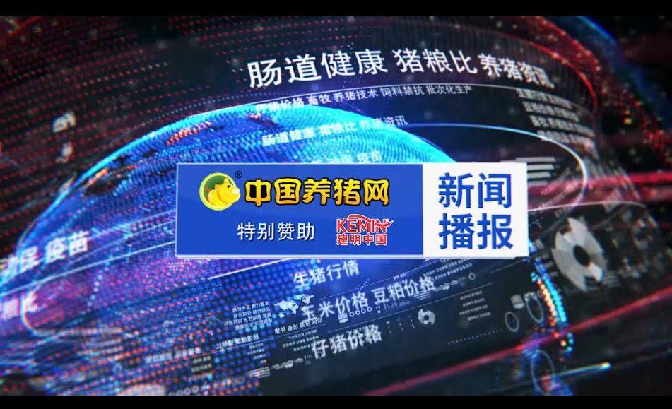 打翻身仗！农业农村部要求加快生猪种业高质量发展，怎么做？