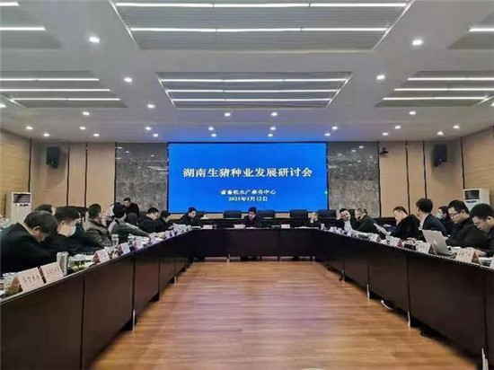 打造优质湘猪“芯片”，湖南将启动生猪核心种源自主选育项目