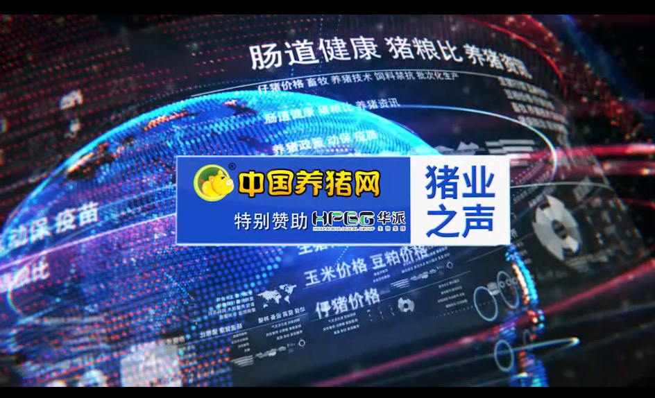 【猪业之声】重磅数据！2020年末能繁母猪存栏增长35%！
