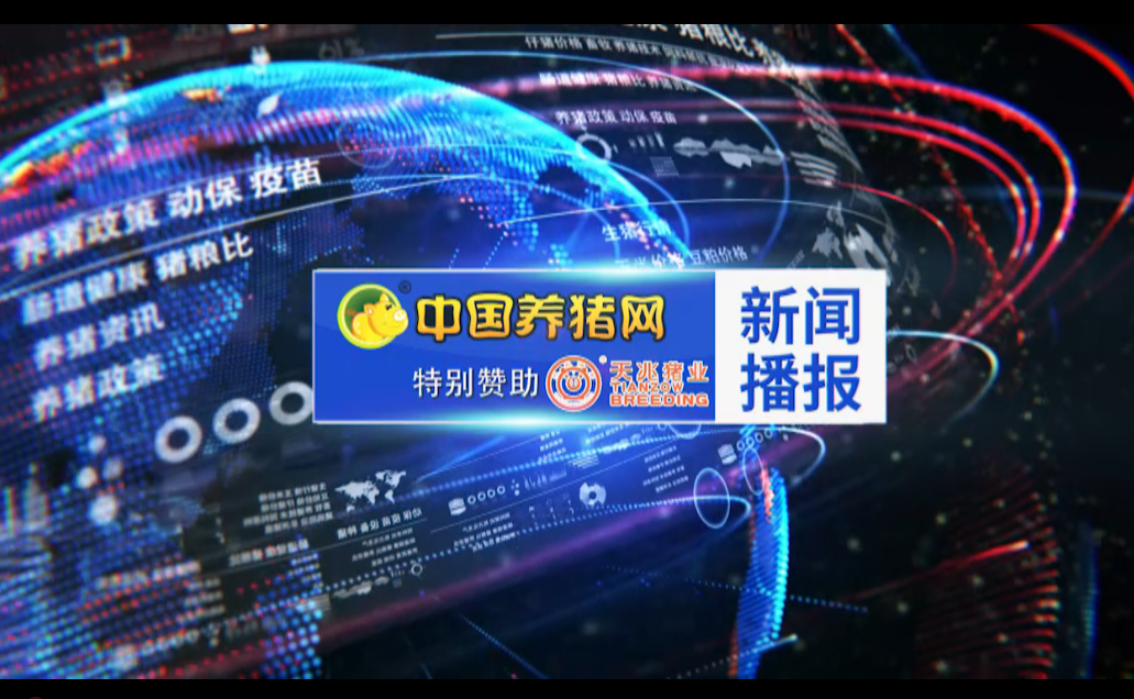 猪价突破20元！南方地区养猪行情非常强势！