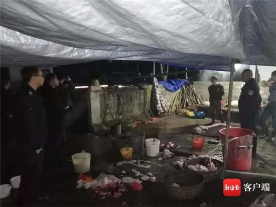 澄迈捣毁一生猪私宰窝点 现场查扣非法屠宰猪肉500斤