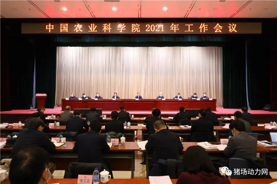 非瘟疫苗研发最新进展！中国农科院称突破了大规模生产工艺的关键瓶颈