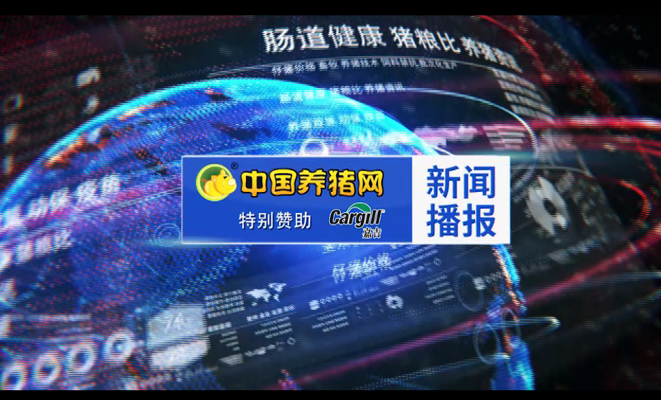 玉米行情让人上头,走势强劲！