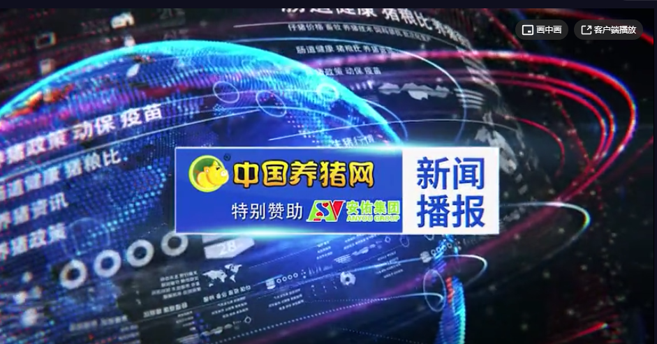 猪价最新排行榜！南高北低已是大趋势！
