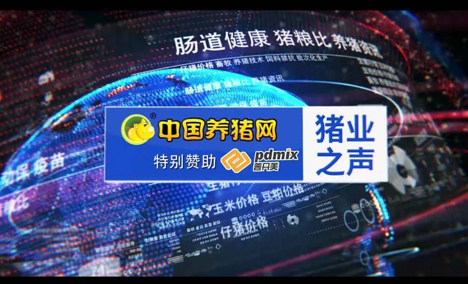 【猪业之声】豆粕现货价格涨势非常凶猛！