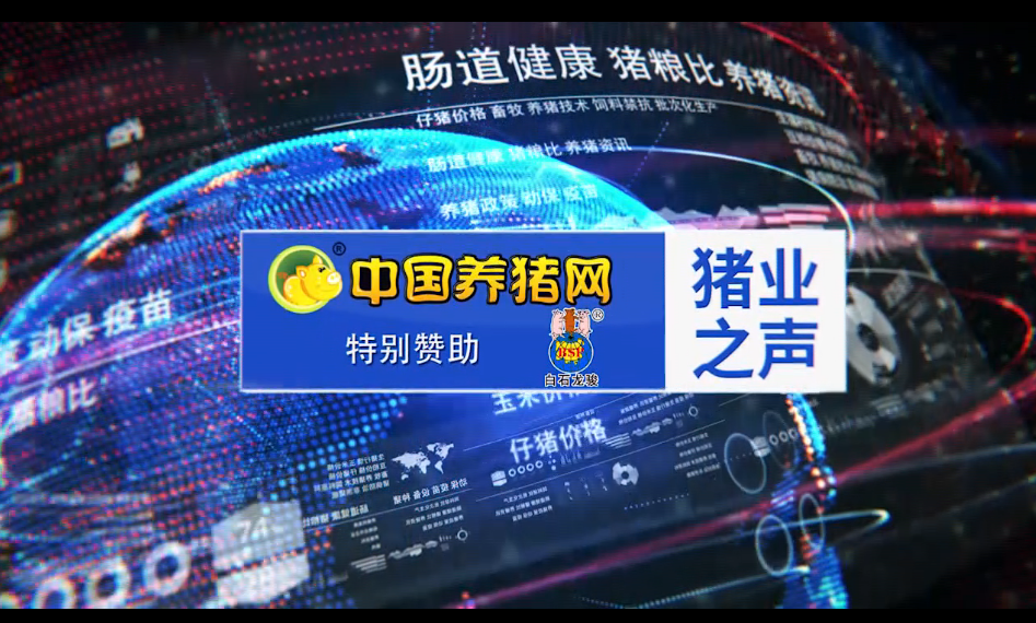 【猪业之声】2020年末：生猪存栏达到4.07亿头、能繁母猪存栏达到4161万头