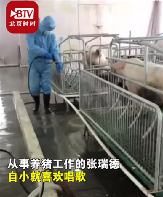 哈尔滨养猪男子给猪唱歌：猪的情绪比以前稳定了，出栏时间也缩短