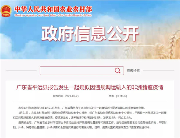 又发非瘟，广东中招！存栏仔猪1015头，发病214头，死亡214头