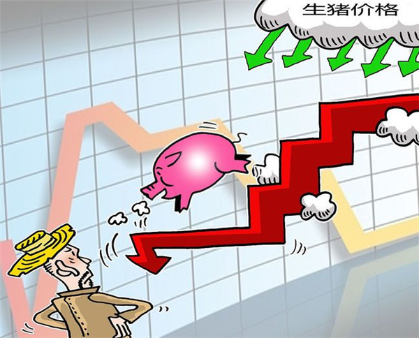 猪价遇冷，行情再跌7毛2，咋回事？猪价17元一斤也稳不住？